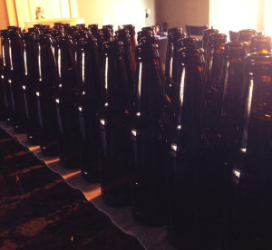 48 empty bottles that will soon be filled with Irish Red Ale.